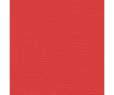 Šventės palapinė 300 x 300 x 255 cm Raudona PE ir plienas