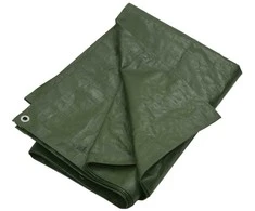 Tentas, žalios spalvos, 4x6m, 180g/m², HDPE