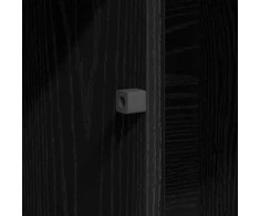 TV staliukas Televizoriaus spintelė 100 x 38 x 49 cm Juodas ąžuolas