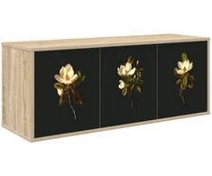 TV staliukas Sieninis televizoriaus stovas BREMEN 102 x 33 x 40 cm