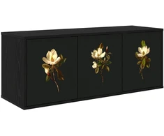 TV staliukas Sieninis televizoriaus stovas BREMEN 102 x 33 x 40 cm