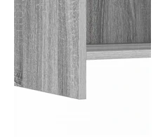 TV staliukas Televizoriaus spintelė 60 x 33 x 47 cm Pilka Sonoma