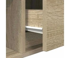 TV staliukas Televizoriaus spintelė, ąžuolo, 60x31x25,5 cm, apdirbta mediena