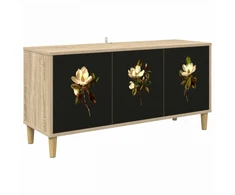 TV staliukas Televizoriaus spintelė BREMEN 102 x 33 x 50 cm Sonoma ąžuolo