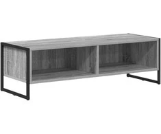 TV staliukas Televizoriaus spintelė Pilkas Sonoma 100 x 36.5 x 30.5 cm