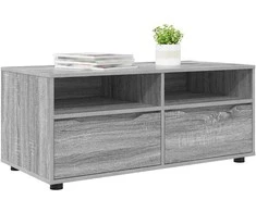TV staliukas Televizoriaus spintelė Pilkas Sonoma 100 x 48 x 43 cm