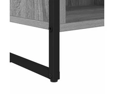 TV staliukas Televizoriaus spintelė 100 x 36.5 x 30.5 cm Pilkas Sonoma