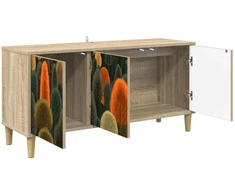 TV staliukas Televizoriaus spintelė ZAANDAM 102 x 33 x 50 cm Sonoma ąžuolo