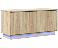 TV staliukas Televizoriaus spintelė Sonoma ąžuolas 100 x 38 x 49 cm