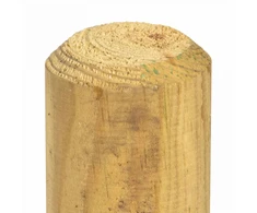 Tvorelių stulpai 15 vnt. Ruda 60 cm Pušies medienos masyvas