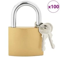 U spyna su raktai 100 pcs Žalvaris Geležis