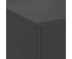 Laužavietė Juoda 80 x 50 x 96 cm Šaltai valcuotas plienas