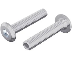 Užrakinimo varžtas Paprastas 2 pcs Sidabro M6 x 30 mm Plienas