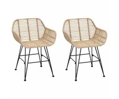 Valgomasis krėslas 2 pcs Ratanas ir Geležis Natūrali