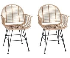 Valgomasis krėslas 2 pcs Ratanas ir Geležis Natūrali