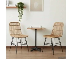 Valgomojo kėdė 2 pcs Natūrali 41 x 55 x 85 cm Ratana ir Plienas