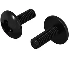 Vamzdiniai varžtai 2 vnt. Juoda M4 x 10 mm Plienas