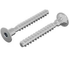 Varžtas 2 pcs Cinkuota 5 x 40 mm Geležis