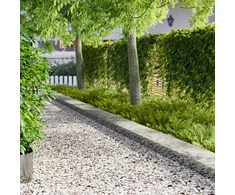 Vejo kraštas 20 pcs 103 x 30 cm metalas Sidabrinė
