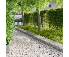 Vejo kraštas 20 pcs 103 x 30 cm Plienas Sidabrinė