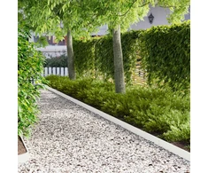 Vejo kraštas 50 pcs 103 x 10 cm Plienas Balta