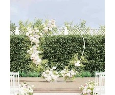 Vestuvinis Arklys Balta 195 x 35 x 211 cm Plienas
