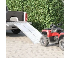 Vežimėlio rampos 270 kg Sidabro 270 kg Aliuminis