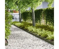 Vejo kraštas 50 pcs Alyvuogių žalia 100 x 0,05 x 15 cm