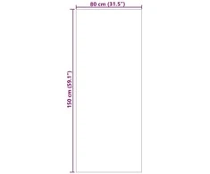 Vidaus ir lauko kilimas AGIRA Natūrali 150 x 80 cm Poliesteris