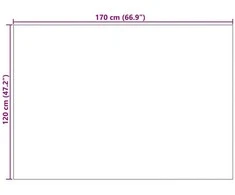 Vidaus ir lauko kilimas AGIRA Natūrali 170 x 120 cm Poliesteris