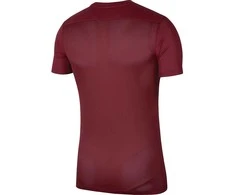 Vaikiški marškinėliai bordo spalvos Nike Dry Park VII JSY SS BV6741 677