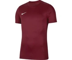 Vaikiški marškinėliai bordo spalvos Nike Dry Park VII JSY SS BV6741 677