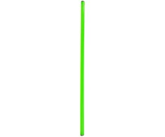Gimnastikos Lazda NO10 SPR-25120 G 120 cm