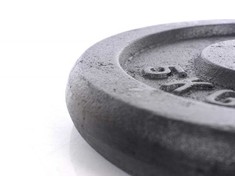 Metalinis diskas štangoms ir hanteliams 5kg (31,5mm)