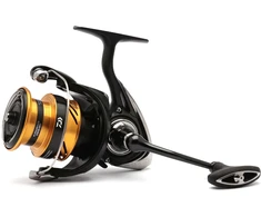 Ritė limituoto leidimo DAIWA Ninja BG 24 LT 4000-C
