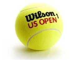 WILSON US OPEN teniso kamuoliukai (3)