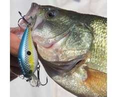 Vobleris Banshee Crankbait 60mm 12g VC03 Chartreuse Shad, Plūdrus
