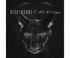 Disclosure - Caracal CD