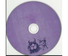 Fall Out Boy – Mania CD