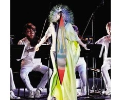 Vinilinė plokštelė - Bjork – Vulnicura Strings 2LP