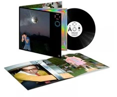 Vinilinė plokštelė – Harry Styles – Kiss All The Time. Disco, Occasionally LP