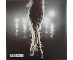 Vinilinė plokštelė – Miley Cyrus – Something Beautiful (Clear Vinyl) LP