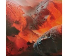 Vinilinė plokštelė - Muse - Will Of The People 1LP