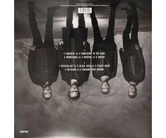 Vinilinė plokštelė - The Rasmus – Dark Matters LP (Transparent Vinyl)