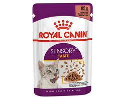 Royal Canin FHN Cat Sensory Taste Gravy 12x85 g