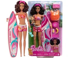 Lėlė banglentininkė Barbie HPL69, su priedais