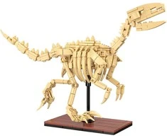 CaDA dinozaurų fosilijų dinozauro skeleto rinkinys: Velociraptor 256 dalys
