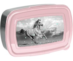 Pusryčių dėžutė Paso Box Horse, 750 ml