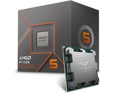 AMD Ryzen™ 5 8500G tray - procesorius