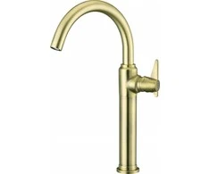 Praustuvo maišytuvas Deante Temisto Tall BQT_M20K, Brass
